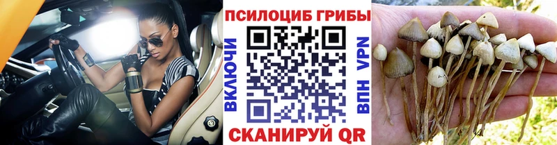 Псилоцибиновые грибы ЛСД  кракен ссылки  это состав  Жуковка 